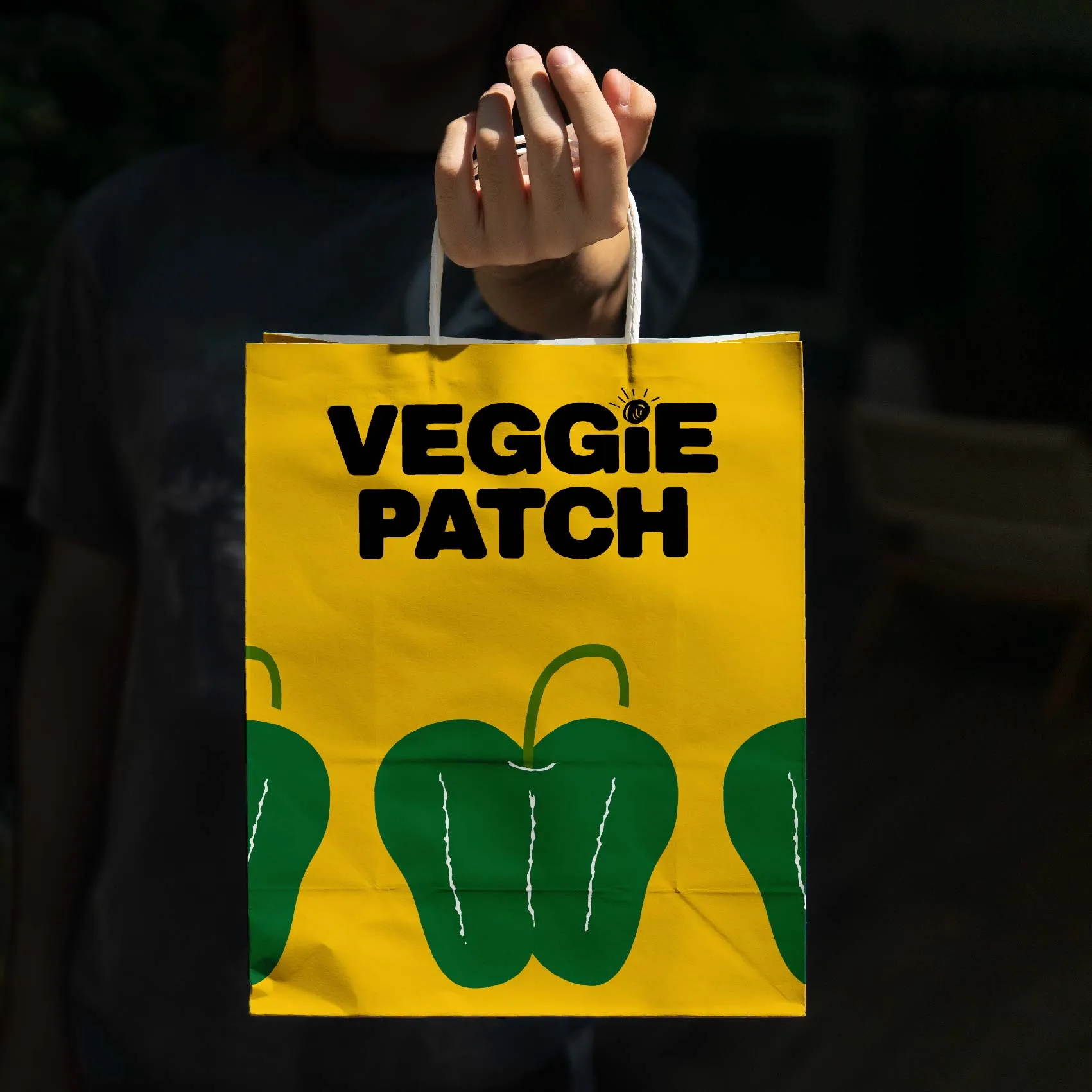 Custom Paper Bag Twisted Handle
