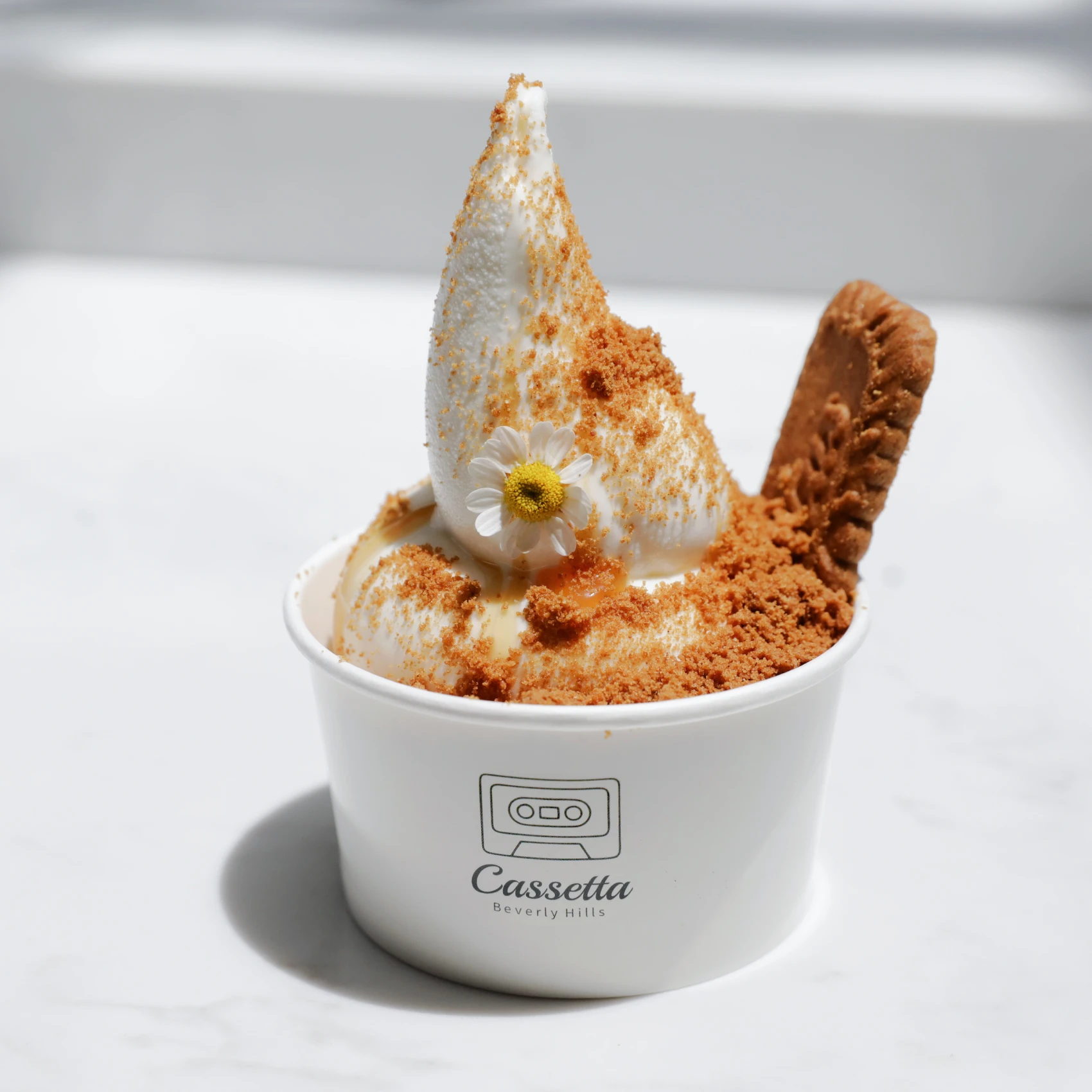 Leakproof Ice Cream Cup
