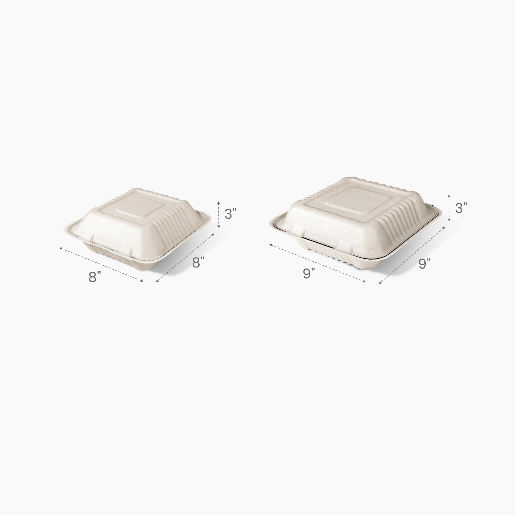 3-Comp Clamshell Container Size