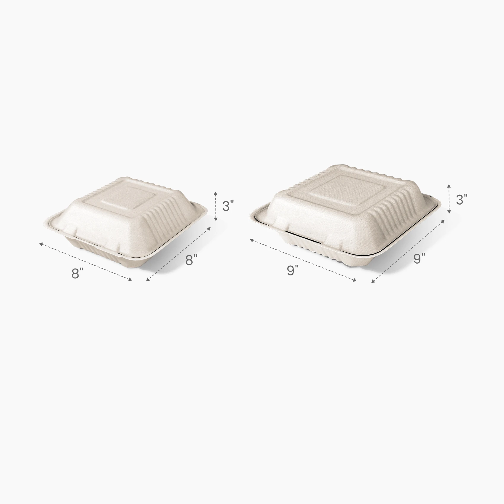 3-Comp Clamshell Container Size